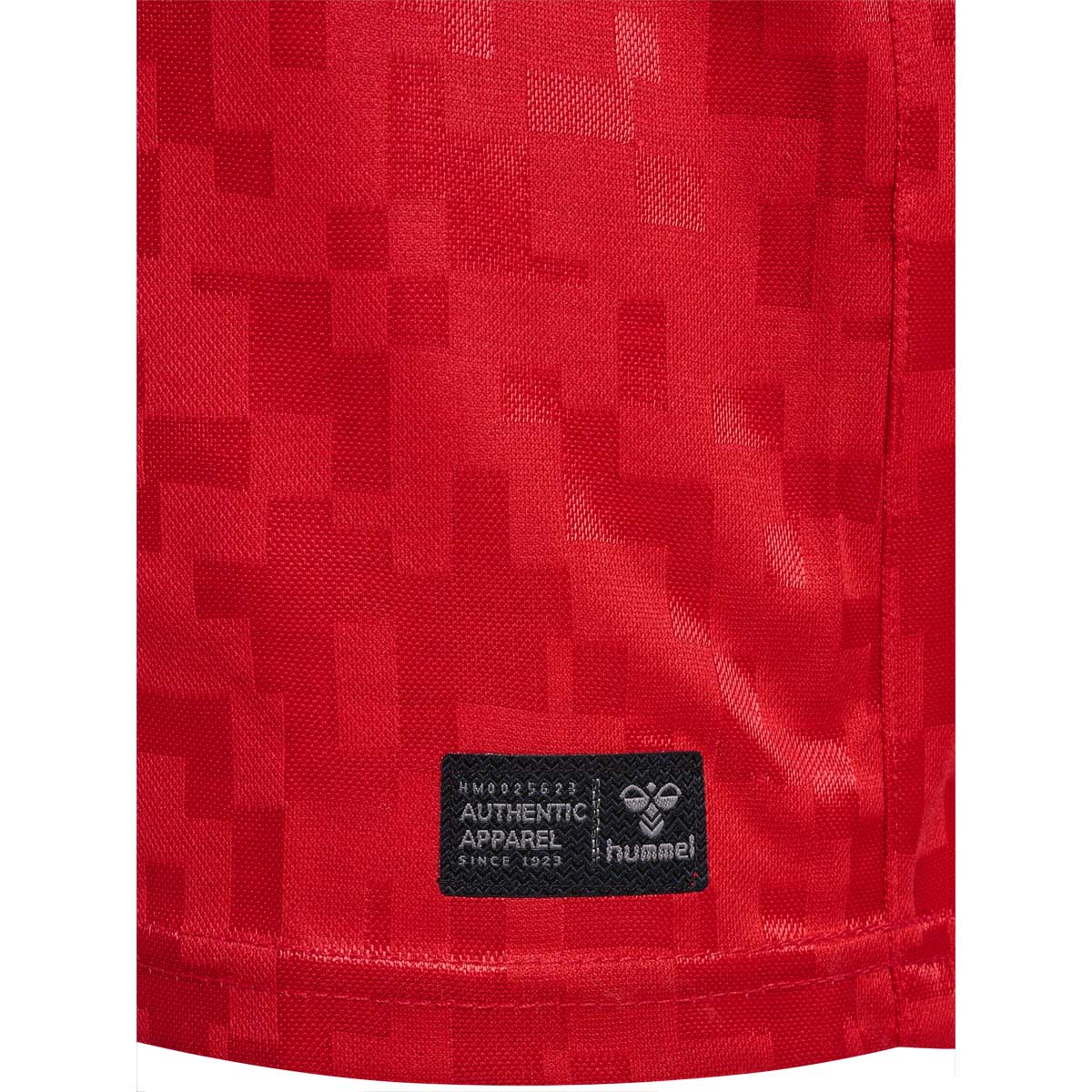 Danmark Hjemmebane Landsholdstrøje 24/25 Børn TANGO RED
