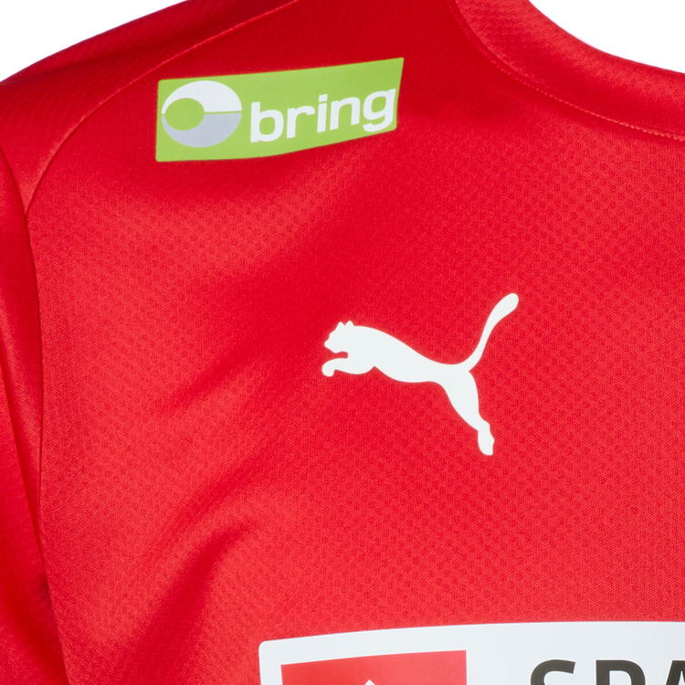 DanskHåndbold PUMA Replica Trøje Unisex Dame