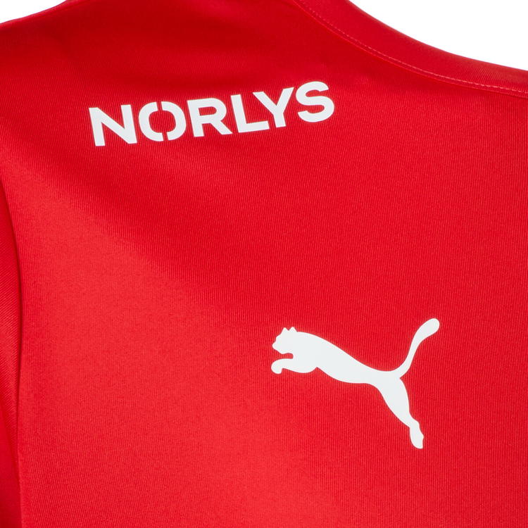 DanskHåndbold Replica Trøje Unisex Herre