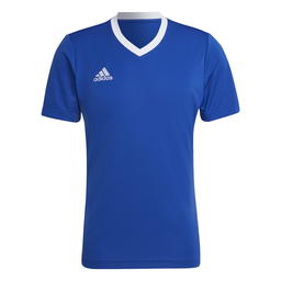 adidas Entrada 22 Trænings T-shirt