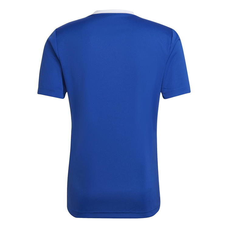 adidas Entrada 22 Trænings T-shirt Blue