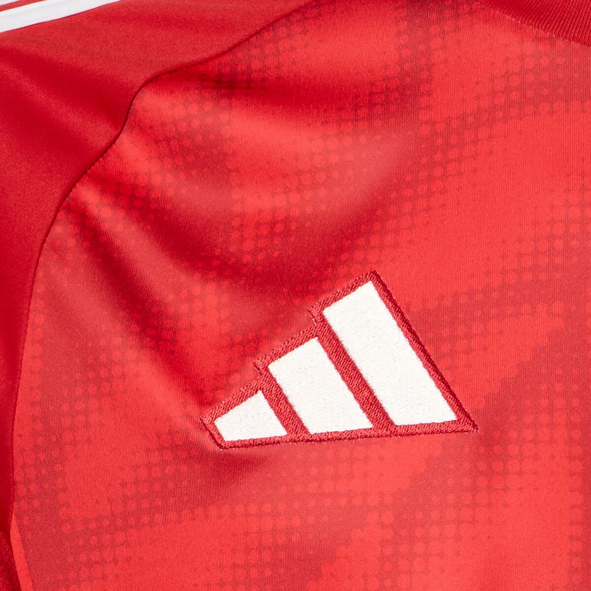 Vejle Boldklub Hjemmebanetrøje 25/26 Børn VESTJYSK BANK