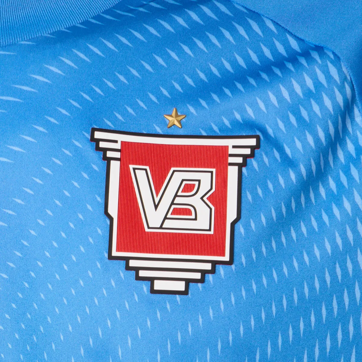 Vejle Boldklub Målmandstrøje 25/26 Blå
