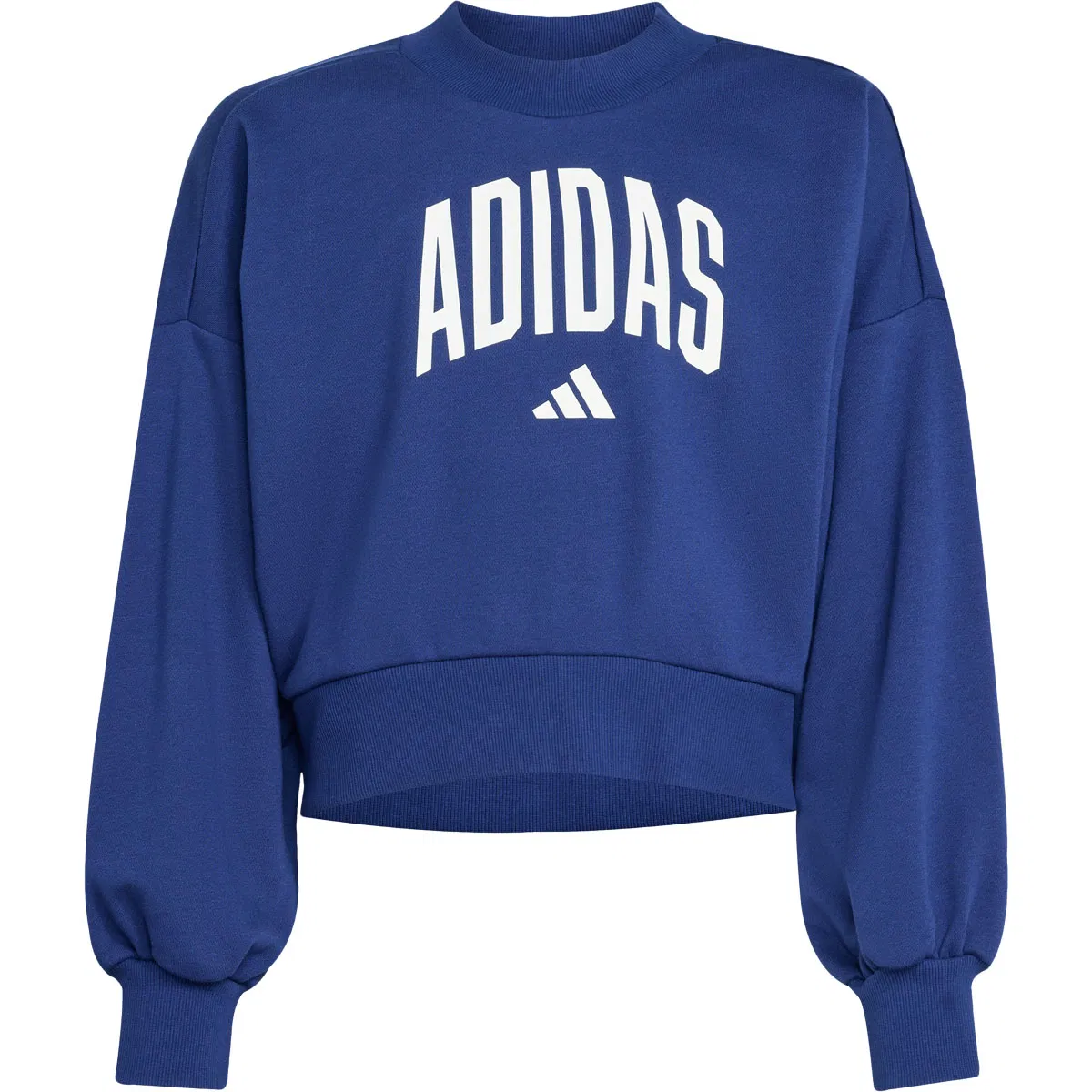 adidas Collegiate G Sweatshirt Børn Blue