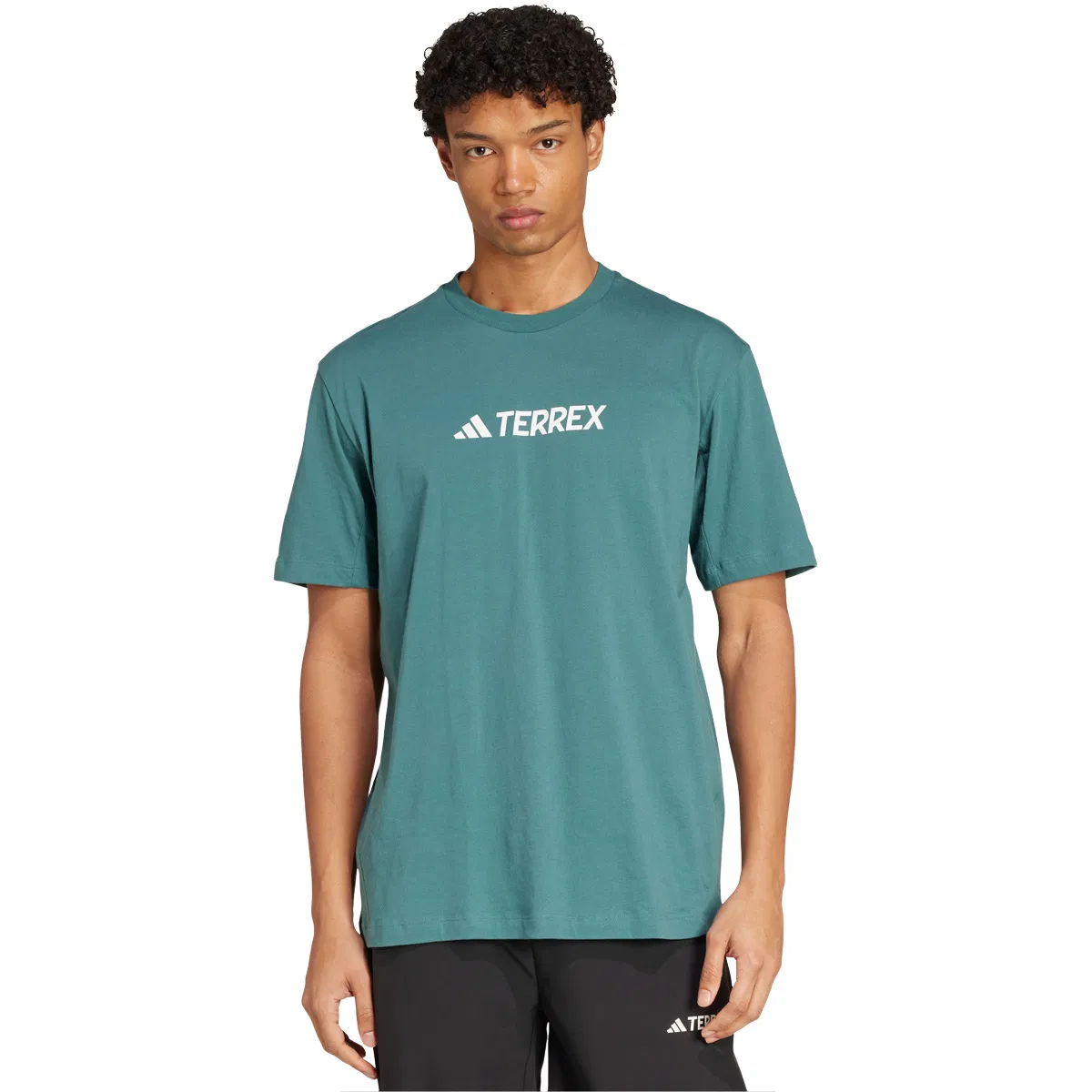 adidas Terrex Logo T-shirt Herre Blue