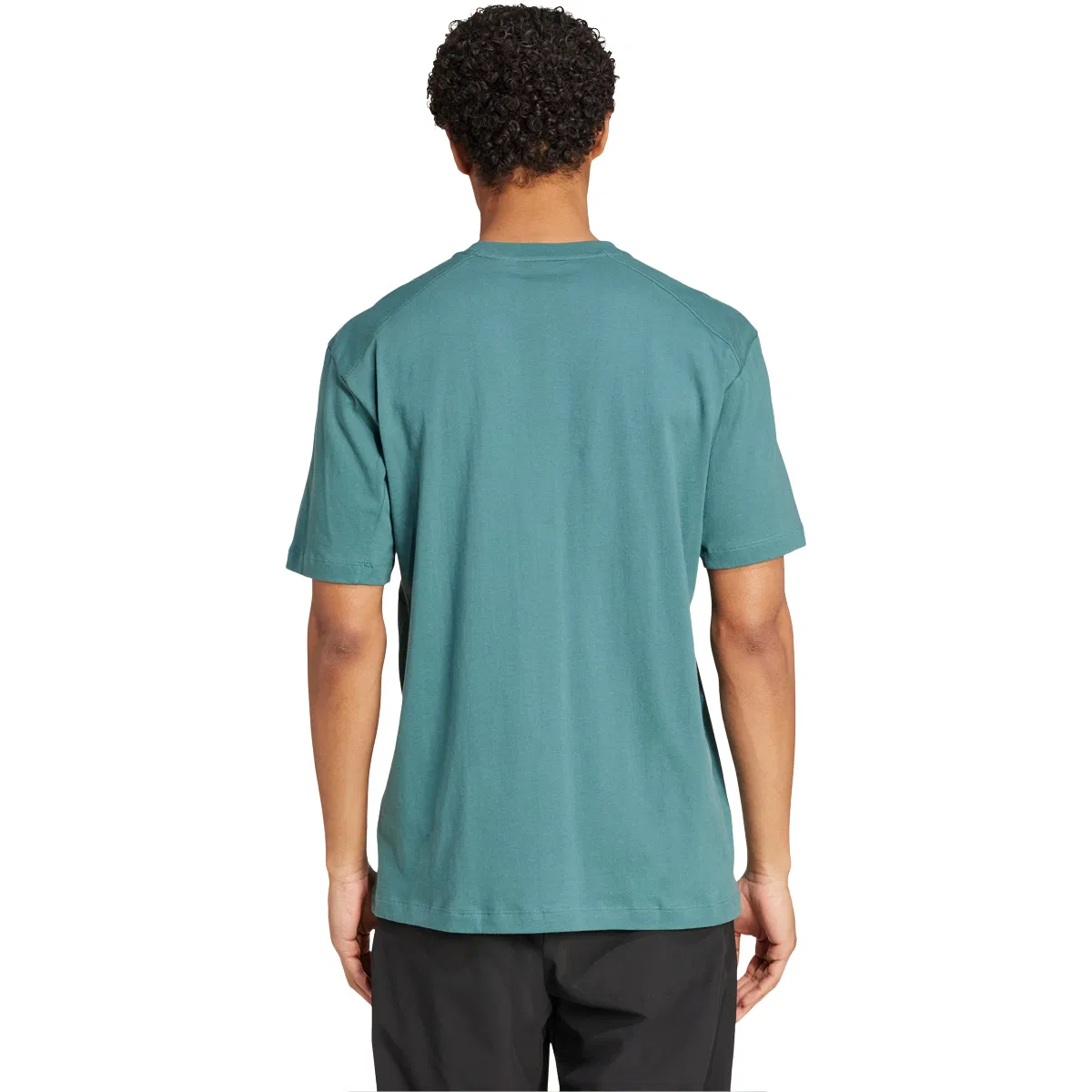 adidas Terrex Logo T-shirt Herre Blue