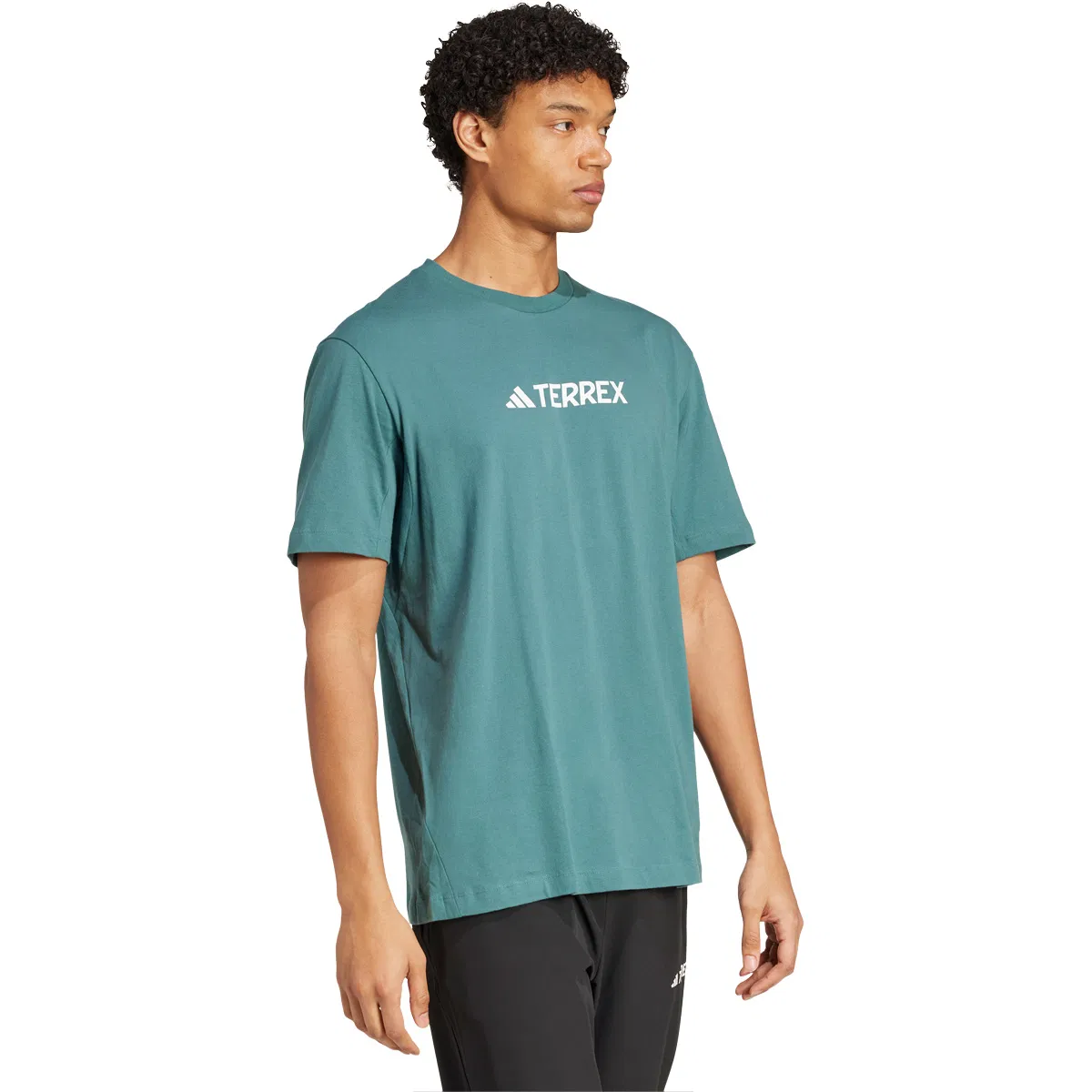 adidas Terrex Logo T-shirt Herre Blue