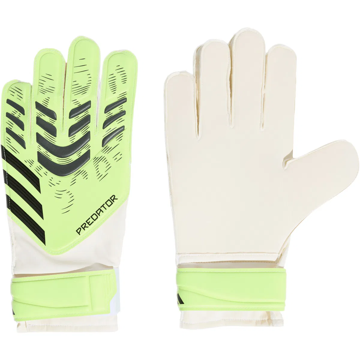 adidas Predator Training Målmandshandsker Green