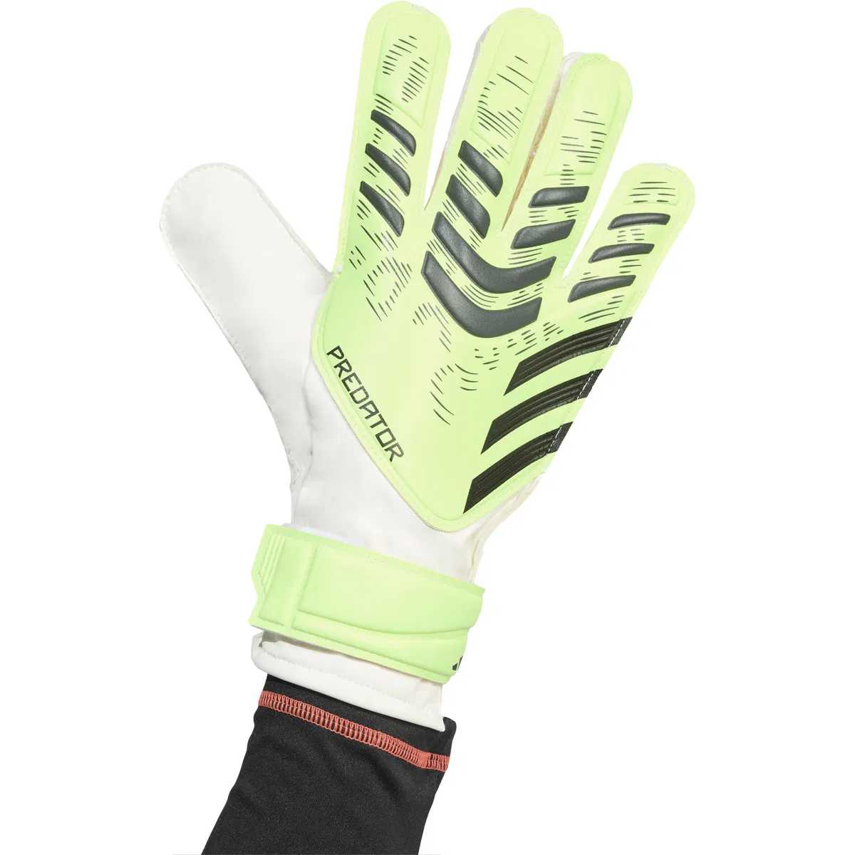 adidas Predator Training Målmandshandsker Green