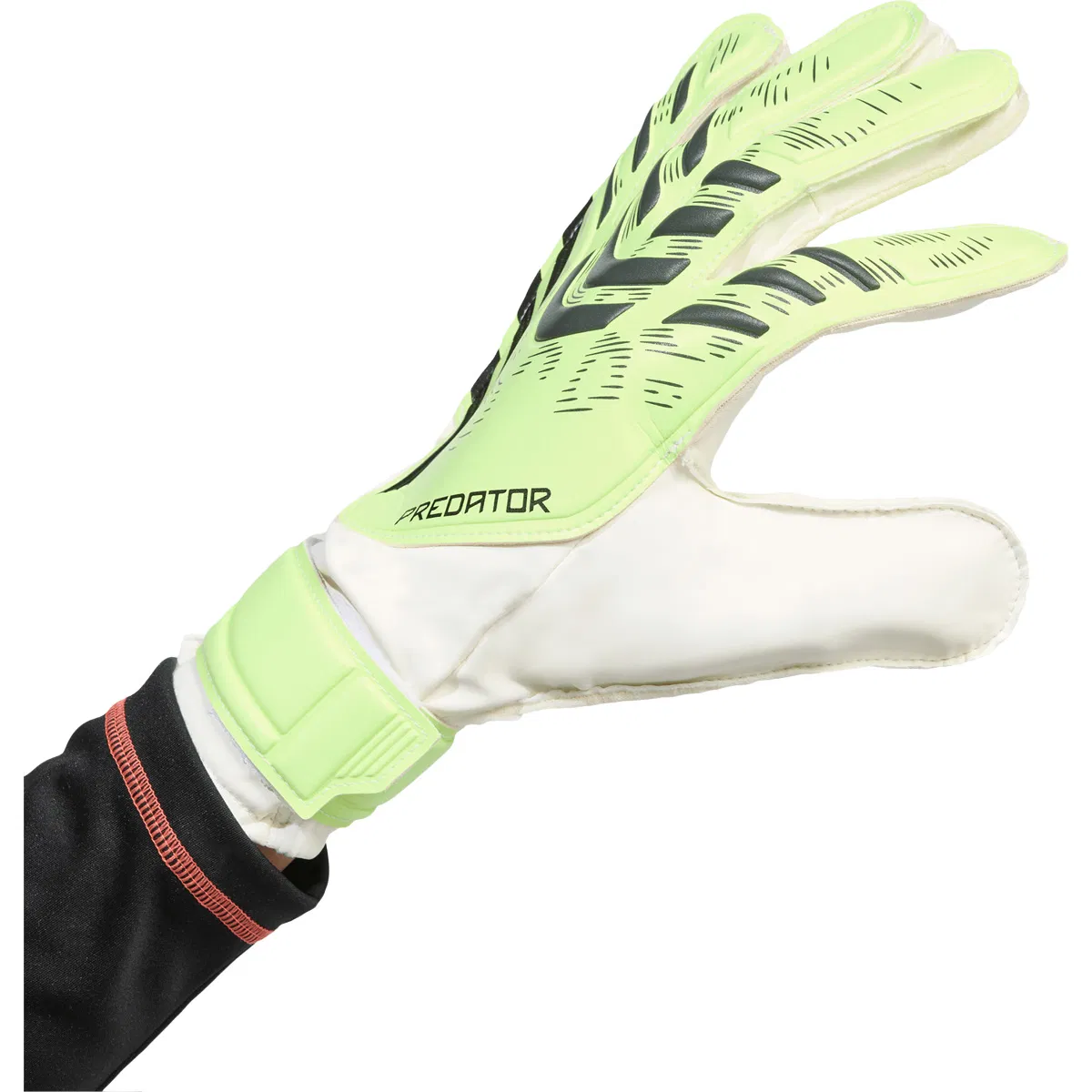 adidas Predator Training Målmandshandsker Green
