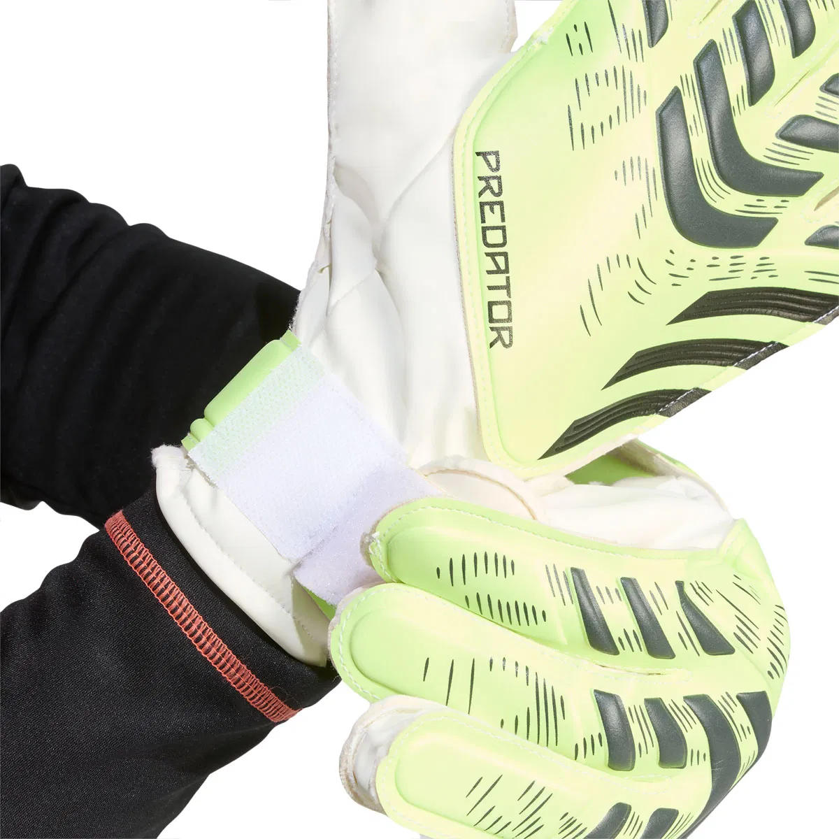 adidas Predator Training Målmandshandsker Green