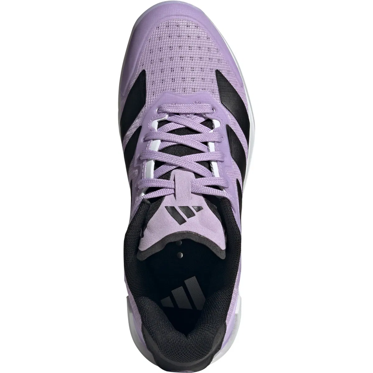 adidas Adizero Counterblast Håndboldsko Dame Purple