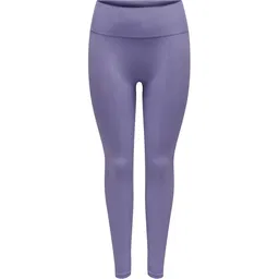 Aster Purple